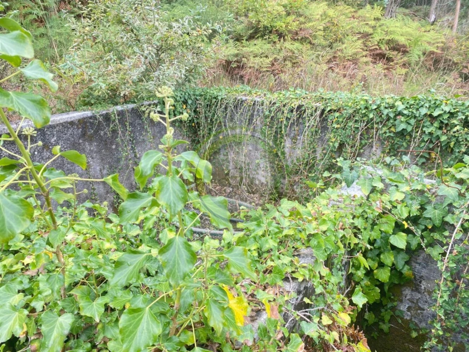 Moradia T3 para Venda em Durrães e Tregosa Foto 66