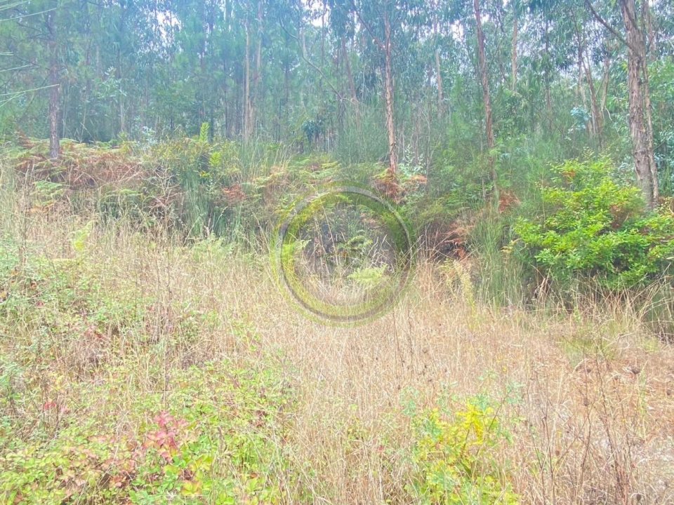 Moradia T3 para Venda em Durrães e Tregosa Foto 14