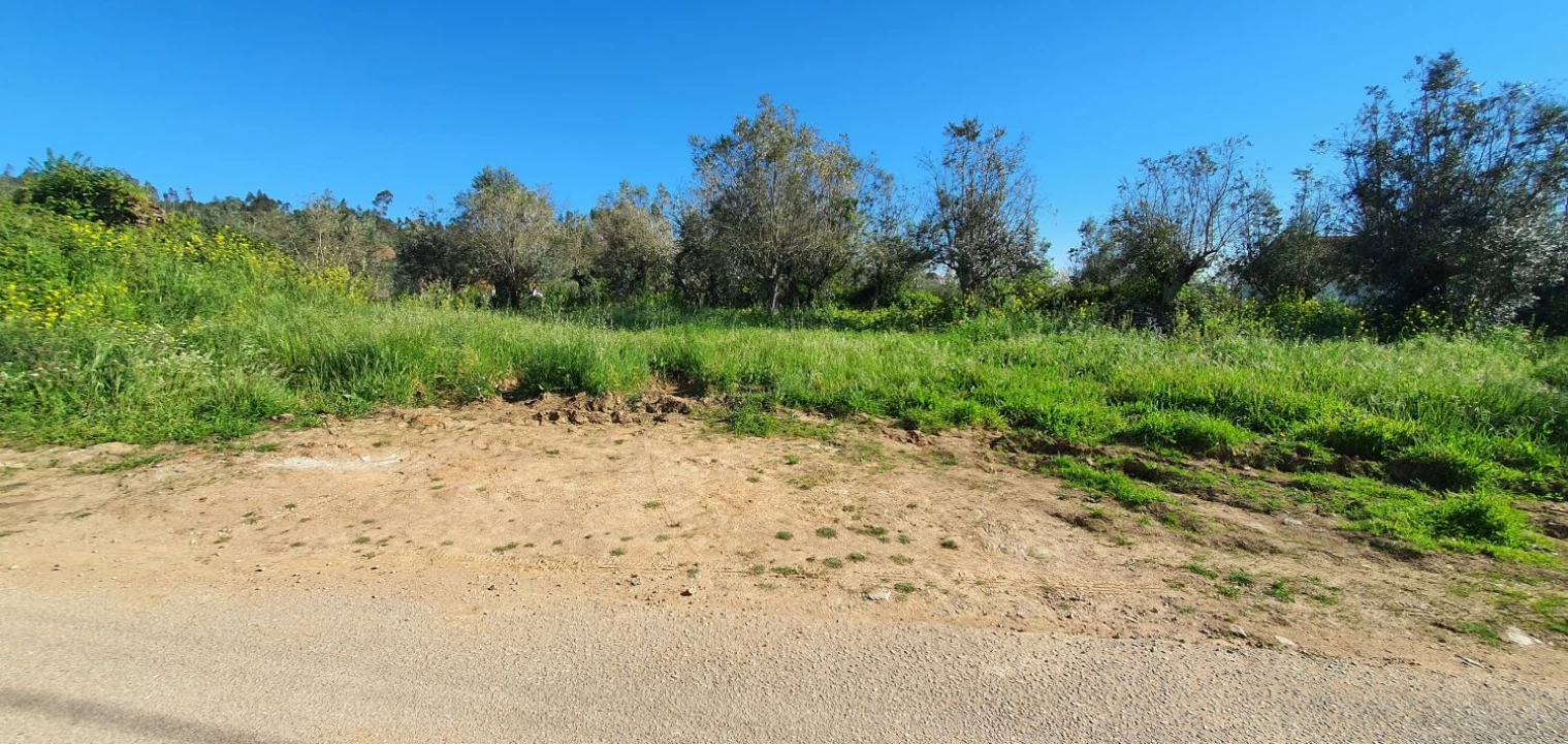 Terreno para Venda em Igreja Nova do Sobral Foto 10