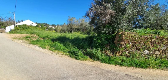 Terreno para Venda em Igreja Nova do Sobral