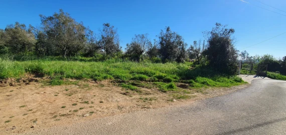 Terreno para Venda em Igreja Nova do Sobral