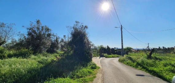 Terreno para Venda em Igreja Nova do Sobral
