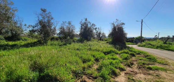 Terreno para Venda em Igreja Nova do Sobral