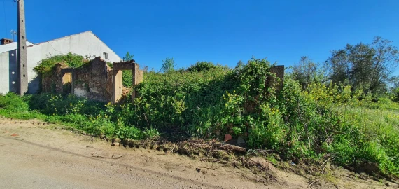 Terreno para Venda em Igreja Nova do Sobral