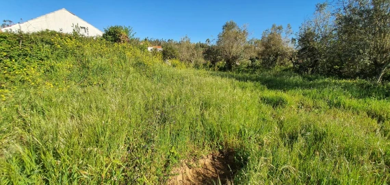 Terreno para Venda em Igreja Nova do Sobral
