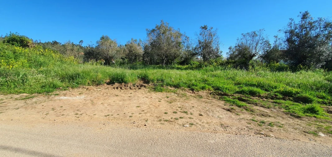 Terreno para Venda em Igreja Nova do Sobral Foto 10
