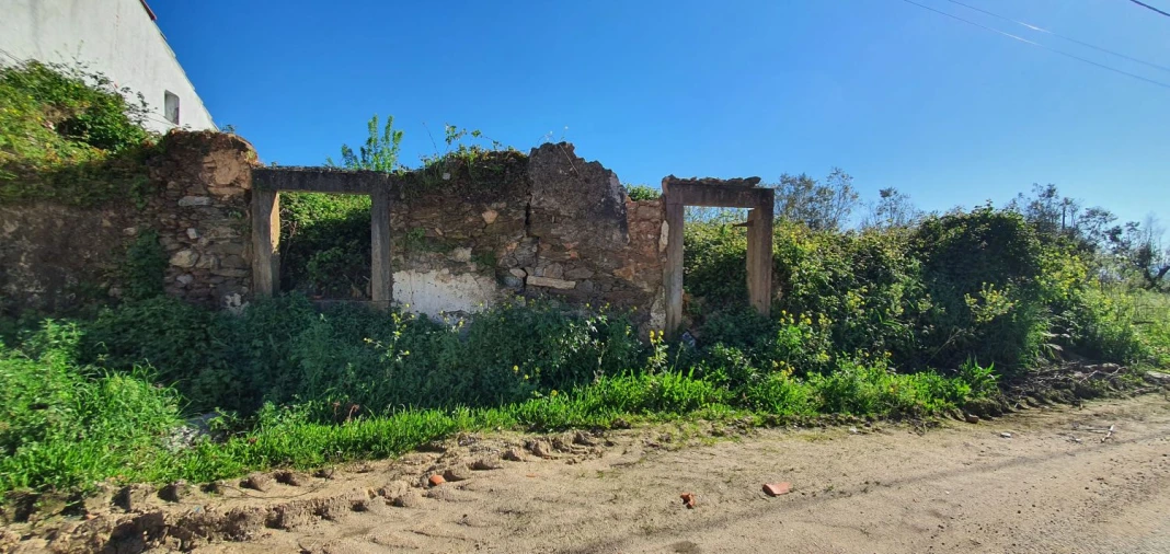 Terreno para Venda em Igreja Nova do Sobral Foto 3