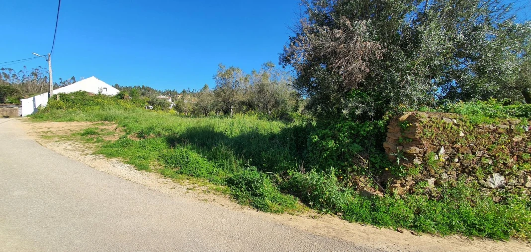 Terreno para Venda em Igreja Nova do Sobral Foto 12