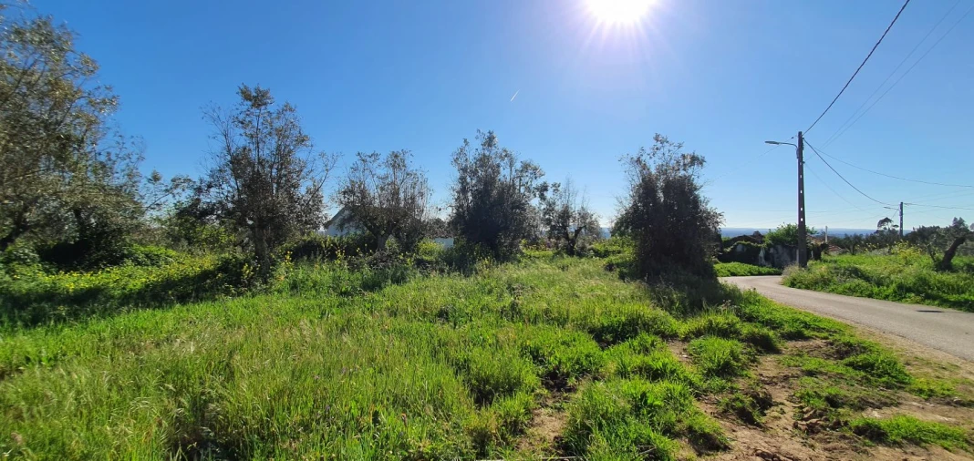Terreno para Venda em Igreja Nova do Sobral Foto 7