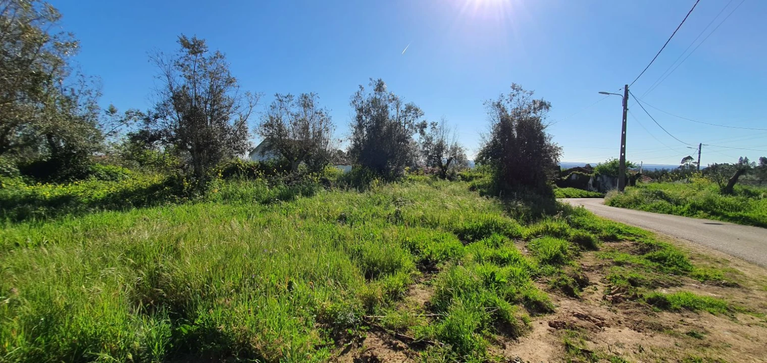 Terreno para Venda em Igreja Nova do Sobral Foto 6