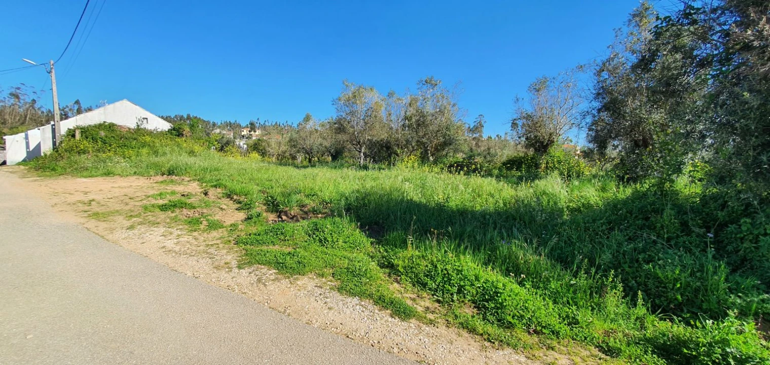 Terreno para Venda em Igreja Nova do Sobral Foto 11