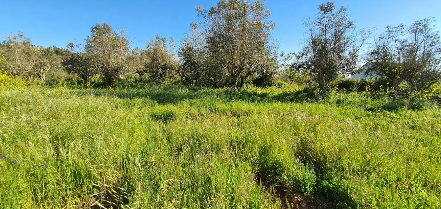 Terreno para Venda em Igreja Nova do Sobral Foto 5