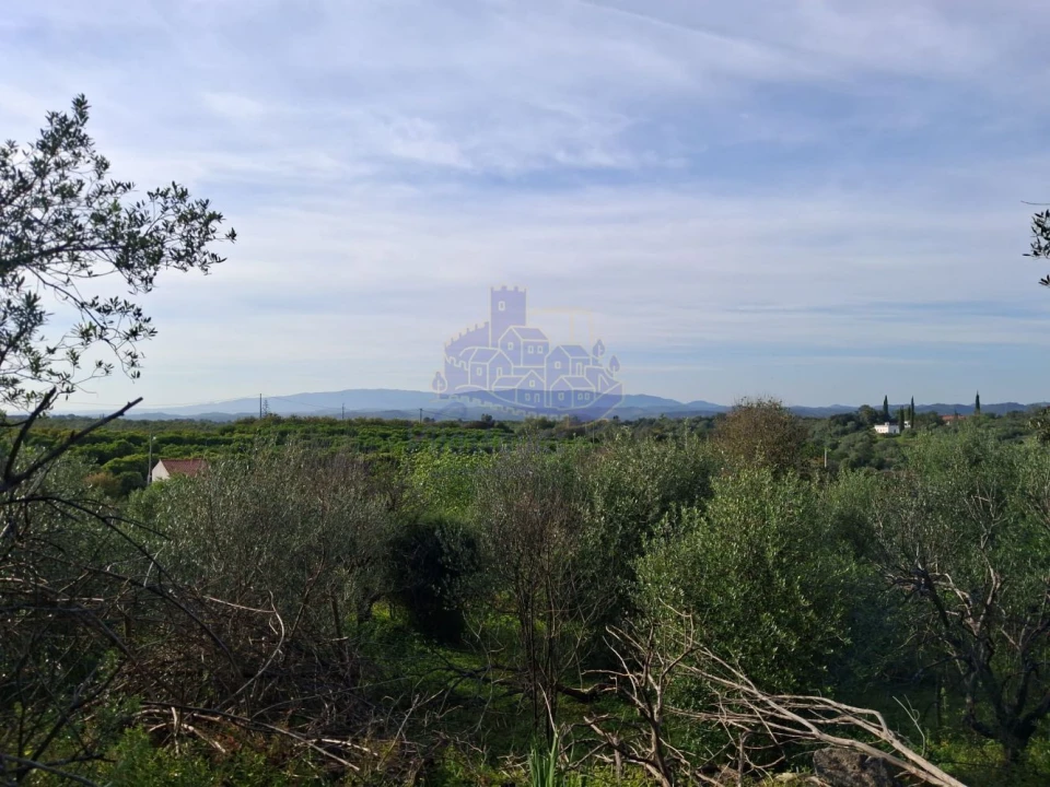 Moradia T2 para Venda em Silves Foto 4