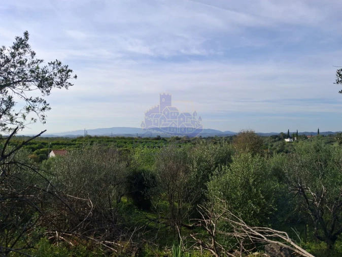 Moradia T2 para Venda em Silves Foto 4