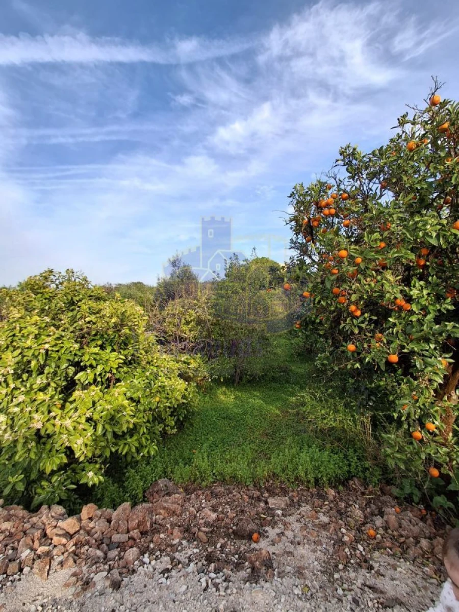 Moradia T2 para Venda em Silves Foto 5