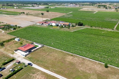 Terreno para Venda em Poceirão e Marateca