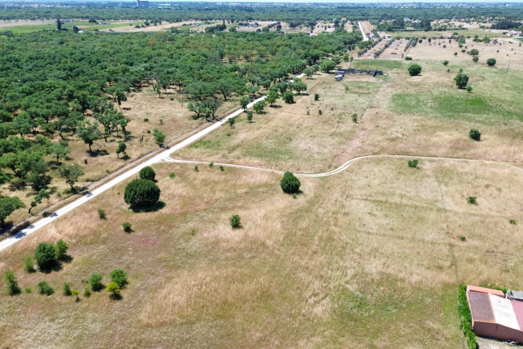 Terreno para Venda em Poceirão e Marateca Foto 5