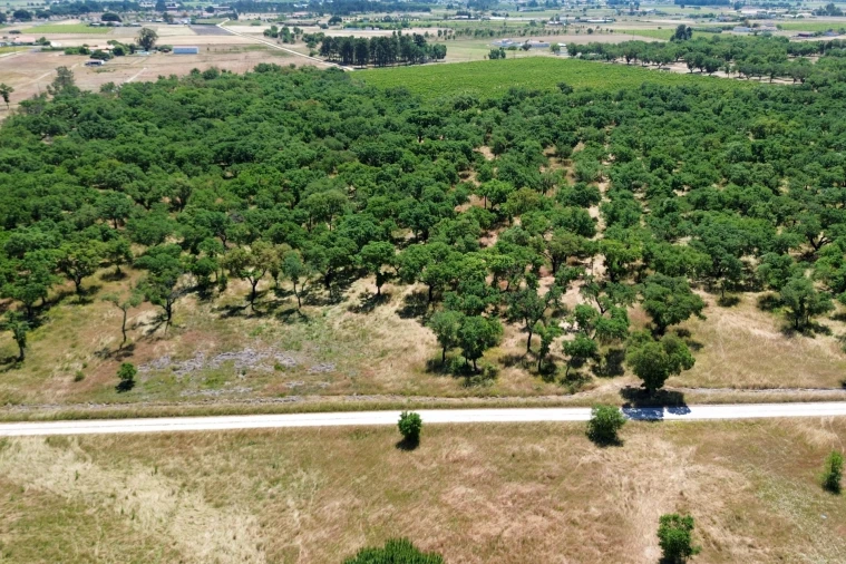 Terreno para Venda em Poceirão e Marateca Foto 14