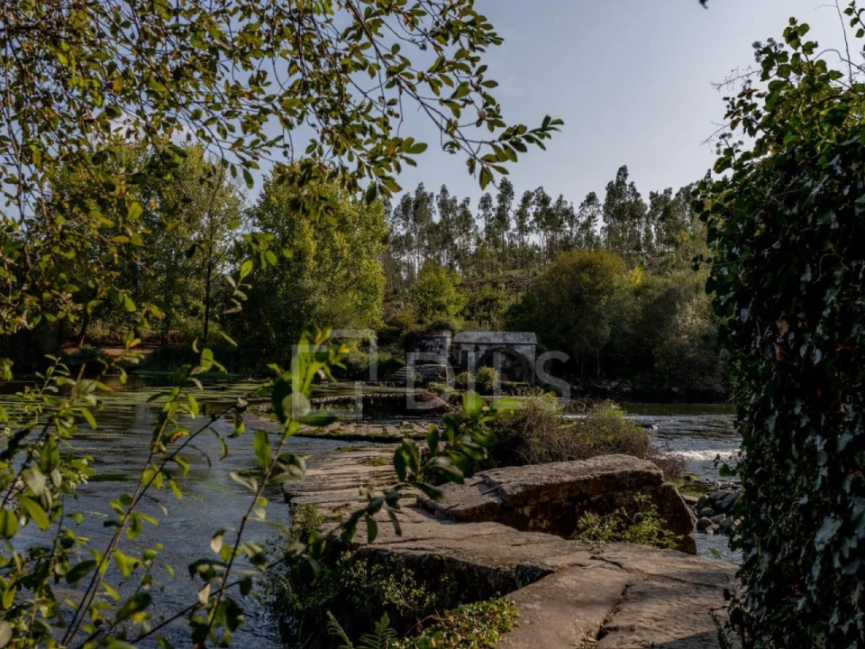 Quinta T8 para Venda em Manhente Foto 29