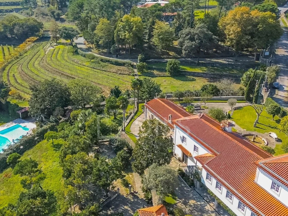 Quinta T8 para Venda em Manhente Foto 52