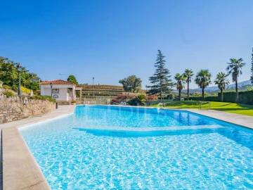 Quinta T8 para Venda em Manhente