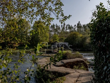 Quinta T8 para Venda em Manhente
