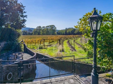 Quinta T8 para Venda em Manhente