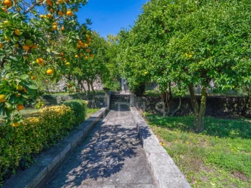 Quinta T8 para Venda em Manhente