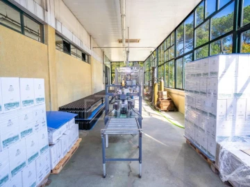 Quinta T8 para Venda em Manhente