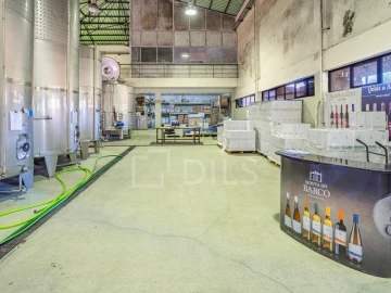 Quinta T8 para Venda em Manhente