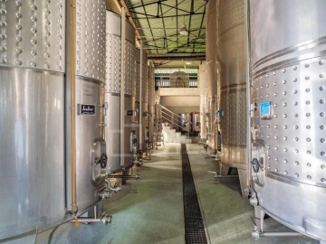 Quinta T8 para Venda em Manhente