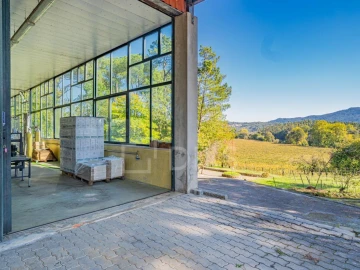 Quinta T8 para Venda em Manhente