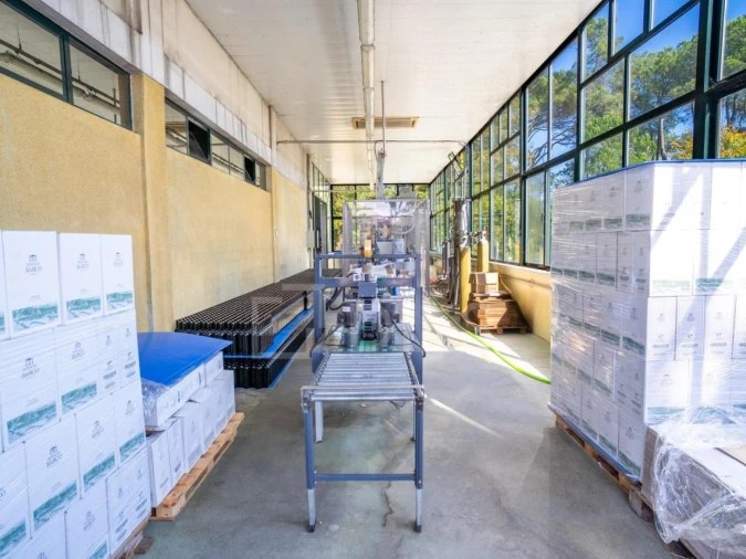 Quinta T8 para Venda em Manhente Foto 46