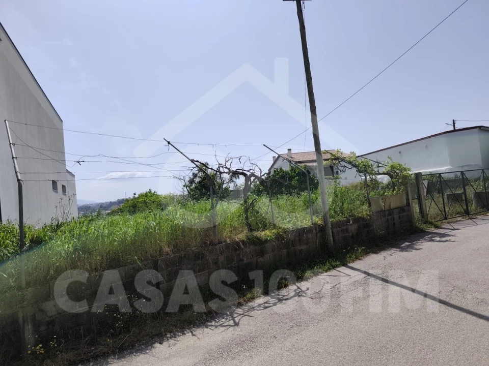 Terreno para Venda em Batalha Foto 4