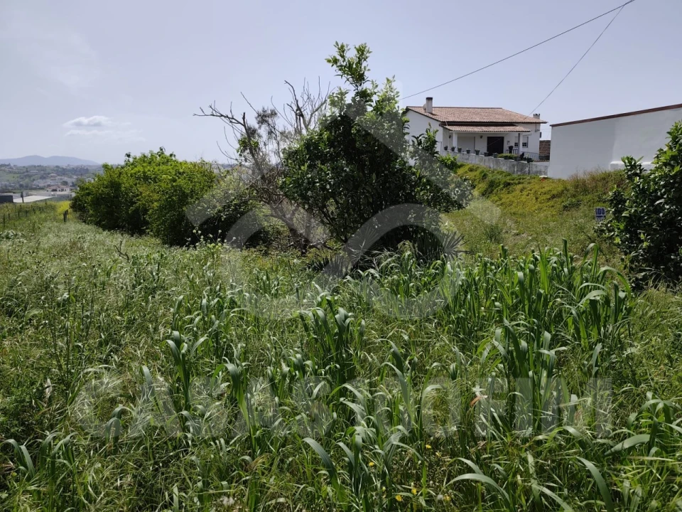 Terreno para Venda em Batalha Foto 8