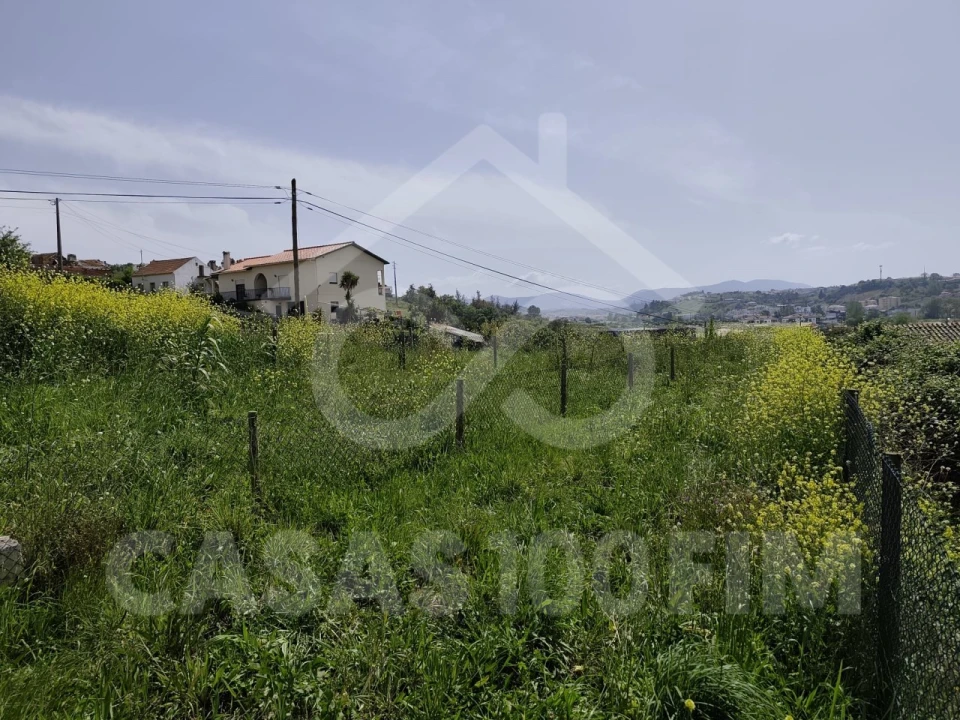 Terreno para Venda em Batalha Foto 9