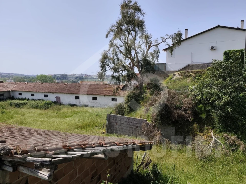 Terreno para Venda em Batalha Foto 10
