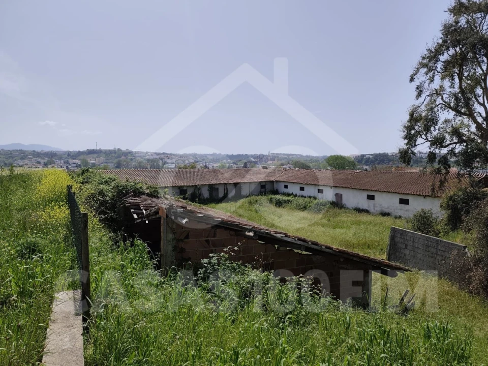 Terreno para Venda em Batalha Foto 11