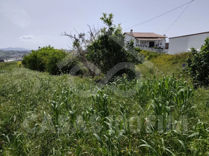 Terreno para Venda em Batalha Foto 8