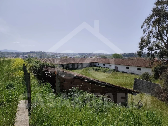 Terreno para Venda em Batalha Foto 11