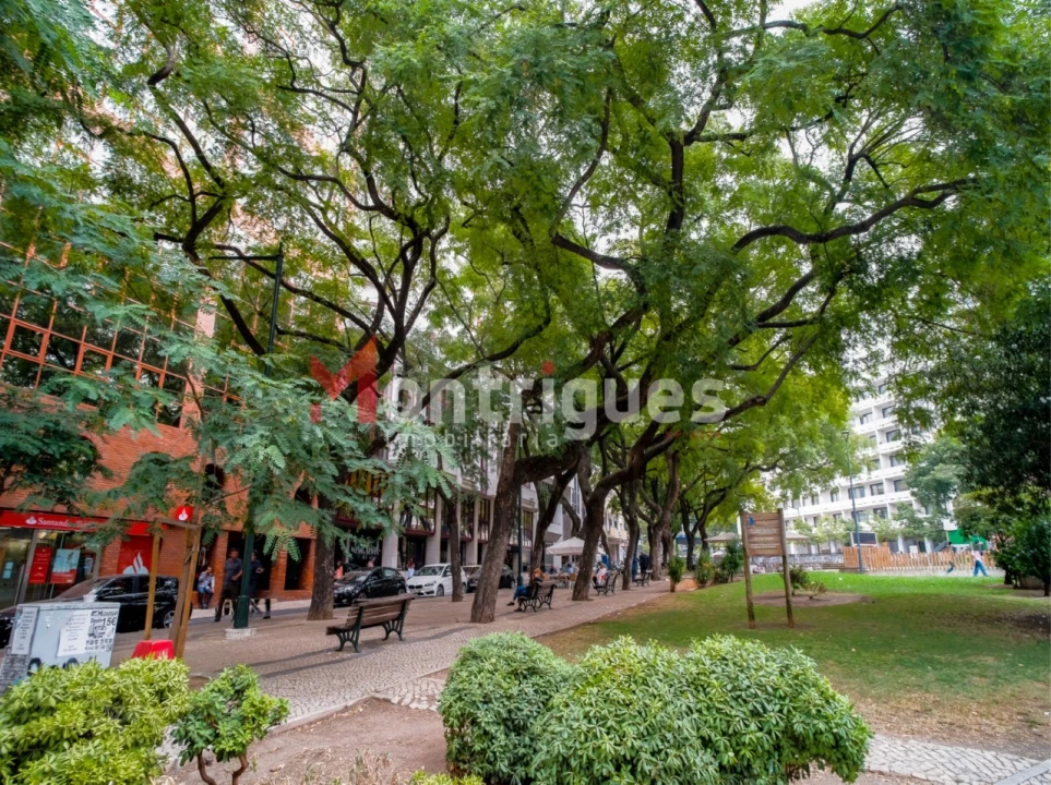 Apartamento T1 para Arrendamento em Avenidas Novas Foto 3