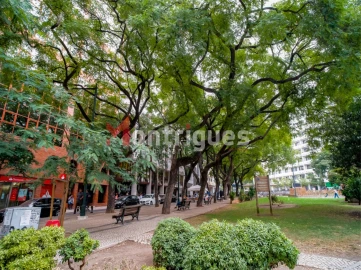 Apartamento T1 para Arrendamento em Avenidas Novas