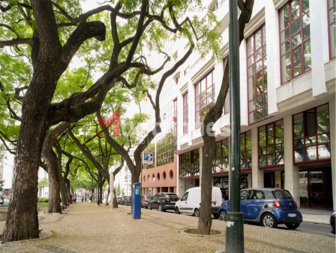 Apartamento T1 para Arrendamento em Avenidas Novas