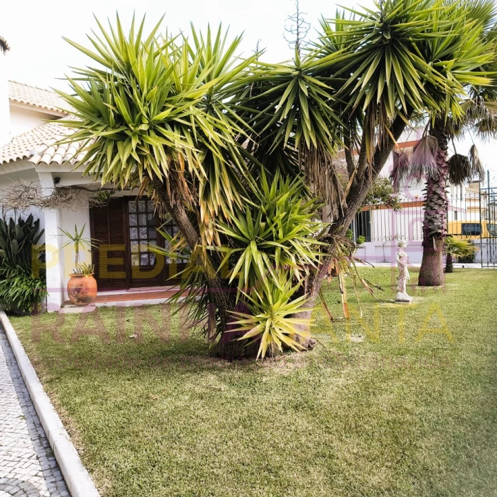 Moradia T6 para Venda em Gafanha da Nazaré Foto 47