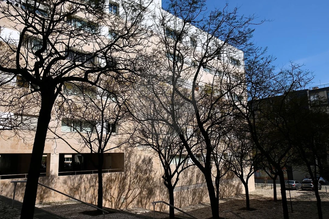 Apartamento T1 para Arrendamento em Parque das Nações Foto 20