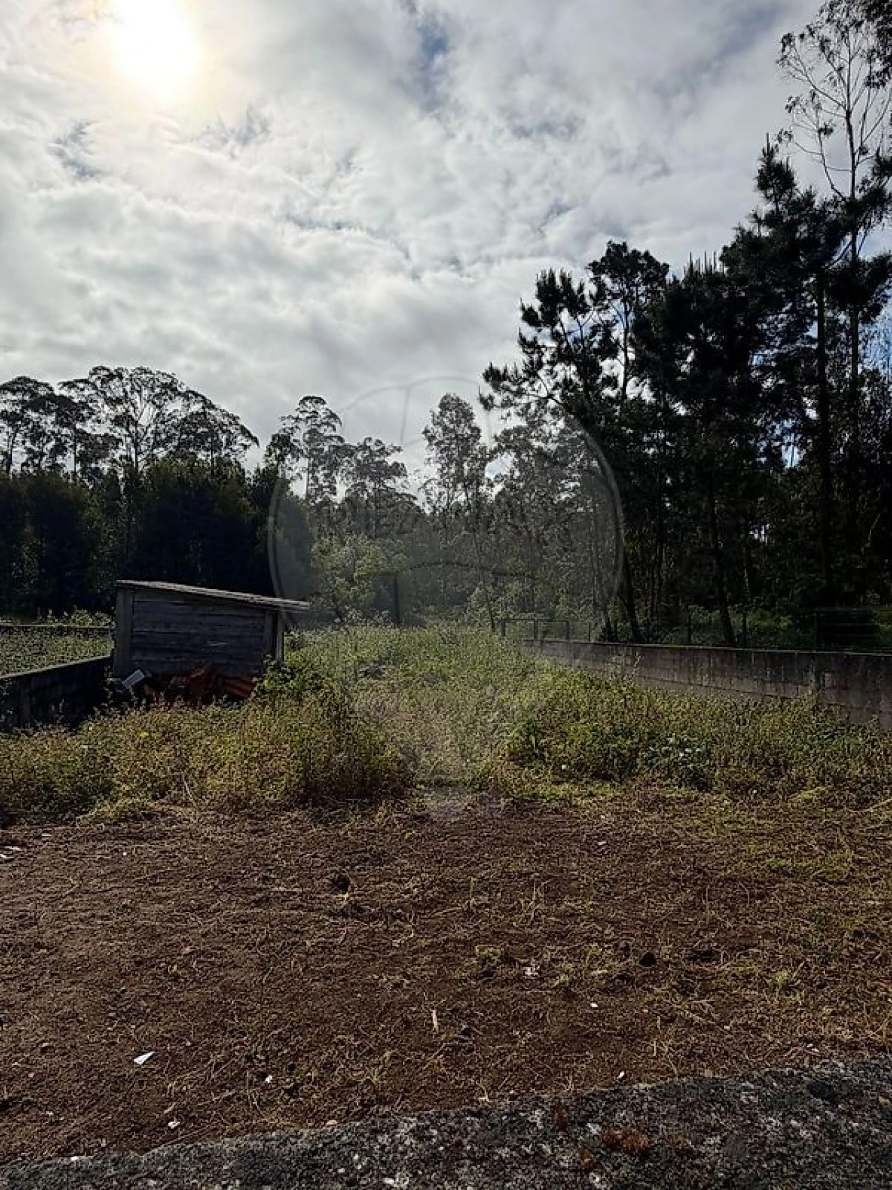 Terreno para Venda em Perafita, Lavra e Santa Cruz do Bispo Foto 6