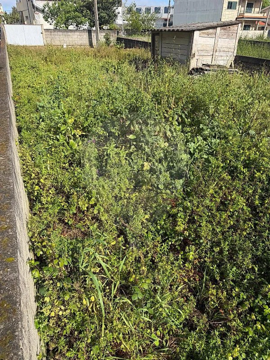 Terreno para Venda em Perafita, Lavra e Santa Cruz do Bispo Foto 3
