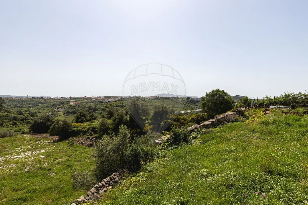 Moradia T2 para Venda em São João das Lampas e Terrugem Foto 4