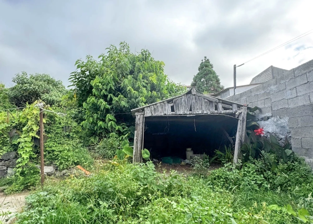 Moradia T2 para Venda em Relva Foto 5