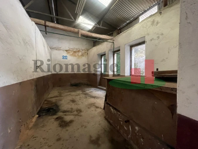 Armazém para Venda em Alcanena e Vila Moreira Foto 15